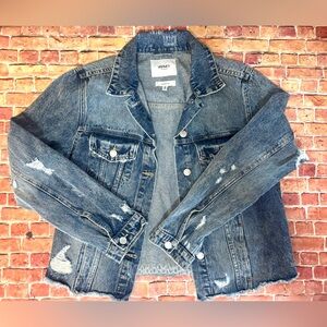 Vervet Distressed Denim Jacket